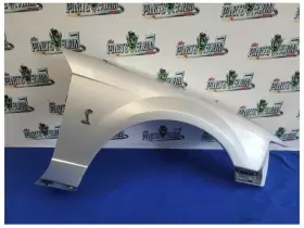 110-02653R FORD Svt Passenger Front Fender Scuffs Paint Yn