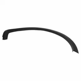 9L3Z-16038-B FORD Wheel Molding F-150