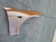 NEW OEM Tesla Model S Front Fender Righy 1562552-E0-A