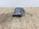 CHEVROLET CORVETTE C4 84-96 OEM FRONT RIGHT FENDER LINER WHEEL WELL WHEELHOUSE