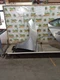 Driver Left Fender Fits 14-18 MAZDA 3 4100333 Driver Left Fender Fits 14-18 MAZDA 3 4100333
