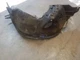 Front Right Inner Fender Liner | Fits 1999-2007 Ford F250 F350 Front Right Inner Fender Liner | Fits 1999-2007 Ford F250 F350