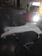 Passenger Right Fender Fits 14-24 INFINITI Q50 599124 Passenger Right Fender Fits 14-24 INFINITI Q50 599124