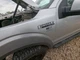 Driver Fender Without Wheel Lip Moulding Fits 15-20 FORD F150 PICKUP 2769352