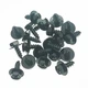 20 Pcs Bumper Extension Screw For Lexus ES300h 2013-2024 Toyota Celica 1990-2005 20 Pcs Bumper Extension Screw For Lexus ES300h 2013-2024 Toyota Celica 1990-2005
