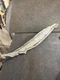 2019-2024 VOLKSWAGEN JETTA A7 FRONT LEFT FENDER INSULATOR END PLATE COVER OEM