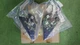 SUBARU Genuine Forester Front Door Gusset Assembly RH & LH Set 61158SA000/010 SUBARU Genuine Forester Front Door Gusset Assembly RH & LH Set 61158SA000/010