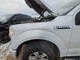 Driver Fender Without Wheel Lip Moulding Fits 15-20 FORD F150 PICKUP 1565950