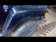 Passenger Right Fender Fits 06-10 HUMMER H3 148735 Passenger Right Fender Fits 06-10 HUMMER H3 148735