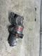 2021 CHEVROLET SILVRDO15 Transfer Case Motor OEM Part 2021 CHEVROLET SILVRDO15 Transfer Case Motor OEM Part