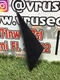 ✅ 2011 HYUNDAI SONATA Right Fender Moulding Pn: 86190-3S000 RH OEM