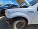 Driver Fender Without Wheel Lip Moulding Fits 15-20 FORD F150 PICKUP 1595207