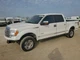Passenger Fender With Wheel Lip Moulding Fits 09-14 FORD F150 PICKUP 3825990