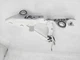 2022-23 Subaru Br-Z Rear Left Driver Trunk Hinge Bracket 57520Cc0109p
