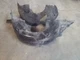 Front Right Inner Fender Liner | Fits 1999-2007 Ford F250 F350 Front Right Inner Fender Liner | Fits 1999-2007 Ford F250 F350