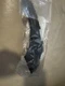 Genuine Nissan OEM Fender Filler Panel 66894-JM00A New Part