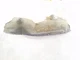 Front Right Inner Fender Liner | Fits 17 18 19 Ford F250 F350