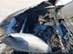 (LOCAL PICKUP ONLY) Passenger Fender Fits 20-22 FORD F250SD PICKUP 615488 (LOCAL PICKUP ONLY) Passenger Fender Fits 20-22 FORD F250SD PICKUP 615488